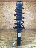 Federbein links vorne VW Golf IV (1J) 315087