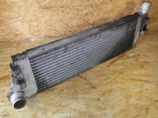 Ladeluftkühler RENAULT Grand Scenic II (JM) 160132153 Bild Ladeluftkühler RENAULT Grand Scenic II (JM) 160132153