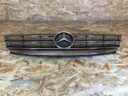 Kühlergrill MERCEDES-BENZ A-Klasse (W169) 1698800983
