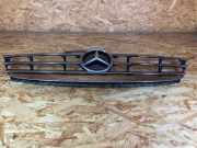 Kühlergrill MERCEDES-BENZ A-Klasse (W169) 1698800583