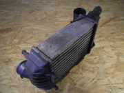 Ladeluftkühler VW Passat B5 Variant (3B5) 059145805