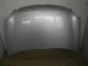 Motorhaube VW Polo IV (9N, 9A)