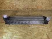 Ladeluftkühler SEAT Alhambra I (7V) 7M3145805