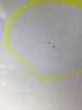 Tür links hinten SEAT Ibiza IV ST (6J) 6J8833055 Bild Tür links hinten SEAT Ibiza IV ST (6J) 6J8833055