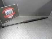 Heckklappendämpfer VW Transporter T4 Kasten 701 829 331 AB