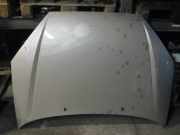 Motorhaube FORD Focus (DAW, DBW)