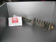 Federbein links vorne DAIHATSU Sirion (M1)