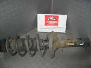 Federbein links vorne SKODA Octavia Combi (1U)