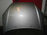 Motorhaube FORD Focus (DAW, DBW)