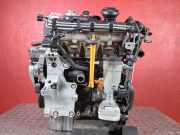 Motor ohne Anbauteile (Diesel) SKODA OCTAVIA II (1Z3) 1.9 TDI 77 KW