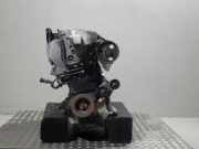Motor ohne Anbauteile (Benzin) RENAULT Clio III (R) 1.4 72 KW
