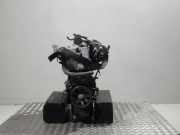 Motor ohne Anbauteile (Benzin) RENAULT Twingo (C06) 1.2 40 KW