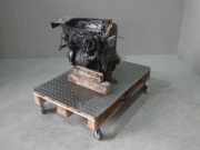 Motor ohne Anbauteile (Benzin) VW Polo III (6N) 1.4 44 KW