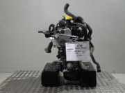 Motor ohne Anbauteile (Benzin) RENAULT Twingo II (CN0) 1.2 43 KW