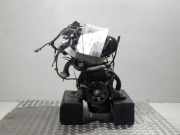 Motor ohne Anbauteile (Benzin) RENAULT Twingo (C06) 1.2 40 KW