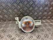 Blinker links vorne MINI Mini (R50, R53) 7165861