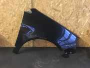 Kotflügel rechts vorne VW Polo IV (9N, 9A)