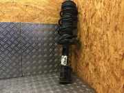 Federbein rechts vorne FIAT Punto Evo (199)