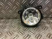 Nebelscheinwerfer links vorne FORD EcoSport E3B515B243AA