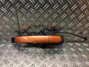 Türgriff links hinten FORD Focus C-Max (DM2)