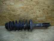 Federbein rechts vorne SEAT Toledo I (1L) 1L0413031C