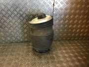 Luftfederungsdämpfer hinten rechts MERCEDES-BENZ C-Klasse T-Modell (S205)