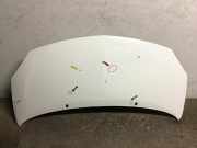 Motorhaube RENAULT Twingo II (CN0)