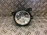 Nebelscheinwerfer rechts vorne FORD EcoSport E3B515B243AA