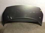 Motorhaube RENAULT Scenic II (JM)