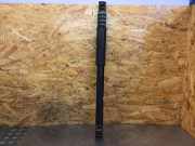 Stoßdämpfer links hinten DACIA Sandero II (SD) 562104719R