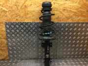 Federbein rechts vorne SEAT Mii (AA) 1S0413031B