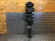 Federbein rechts vorne AUDI A3 (8P) 1T0413031DC