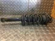 Federbein rechts hinten NISSAN Almera II Hatchback (N16)