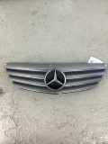 Kühlergrill MERCEDES-BENZ B-Klasse Sports Tourer (W245) A1698800783