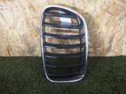Kühlergrill links BMW X3 (F25) 51117210725