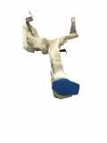 Behälter Scheibenwaschanlage VW Passat B5.5 Variant (3B6) 3B0955453AF/AS
