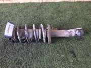Federbein rechts vorne VW Passat B6 Variant (3C5) 3C0413031AT