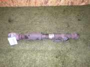 AUDI A6 Avant (4F) Stoßdämpfer links hinten 4F0616031J