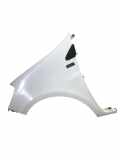 Kotflügel links vorne RENAULT Clio III (BR0/1, CR0/1) 8200256117