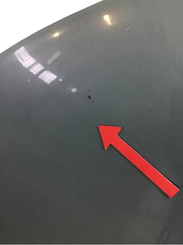 Motorhaube VW Passat B5 (3B2) 3B0 823 031 E Bild Motorhaube VW Passat B5 (3B2) 3B0 823 031 E