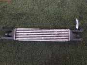 Ladeluftkühler OPEL Corsa D (S07) 55702194