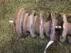 Federbein links vorne MAZDA 6 Station Wagon (GY) GK2C-34-900J Bild Federbein links vorne MAZDA 6 Station Wagon (GY) GK2C-34-900J