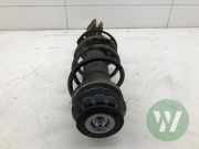 Federbein links vorne Suzuki Vitara LY