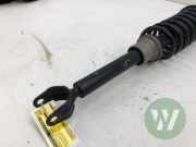 Federbein links vorne Mercedes-Benz CLS C219 A2193231500