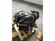 Motor ohne Anbauteile (Diesel) Ford Transit Connect P*2 RM7T1Q6005CA
