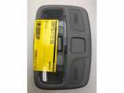 Innenleuchte Suzuki Swift V AZ