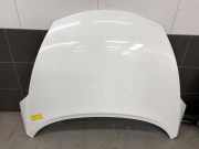 Motorhaube Nissan Juke F15 F5100BA6MA