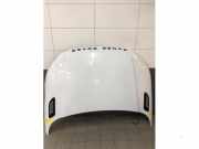 Motorhaube Land Rover Range Rover Evoque I L538 BJ3216612AE