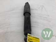 Stoßdämpfer links hinten Fiat Ducato Kasten 250 1362546080