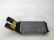 Ladeluftkühler Peugeot 208 I CA, CC 9803900780